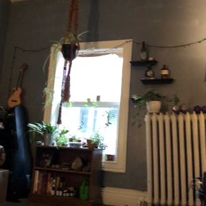 Meet your Posher, Maggie